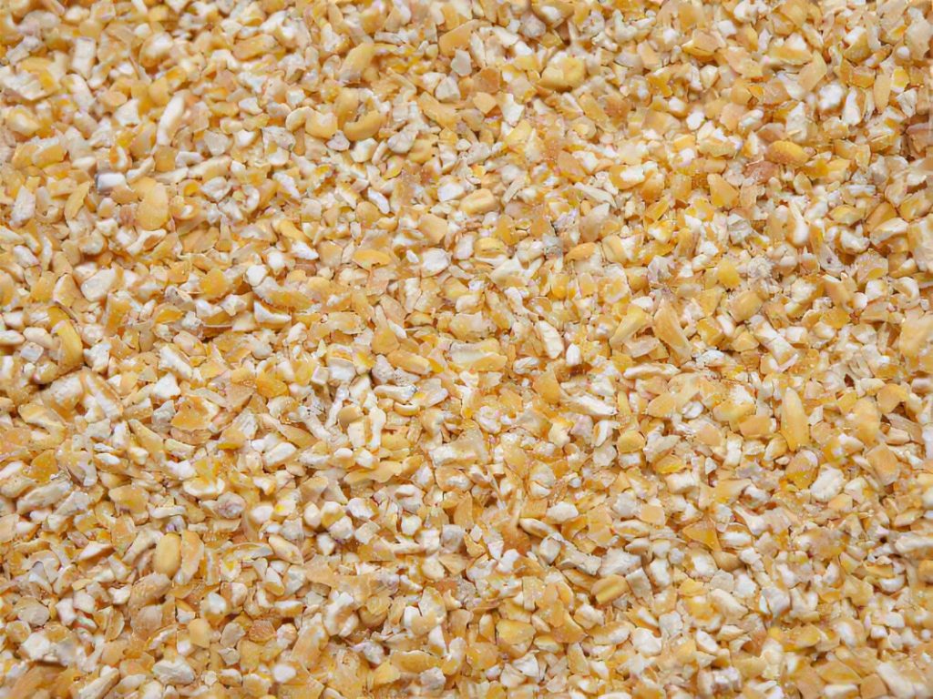 cracked whole yellow corn for feed