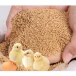 broiler-concentrate-poultry-feed