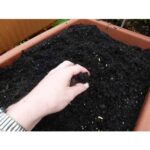 vermicompost-fertilizer