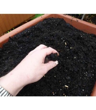 vermicompost-fertilizer