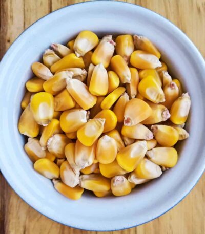 Yellow-Maize-Kernels-Seeds-Non-GMO