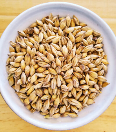 barley-grain-kernels-berries