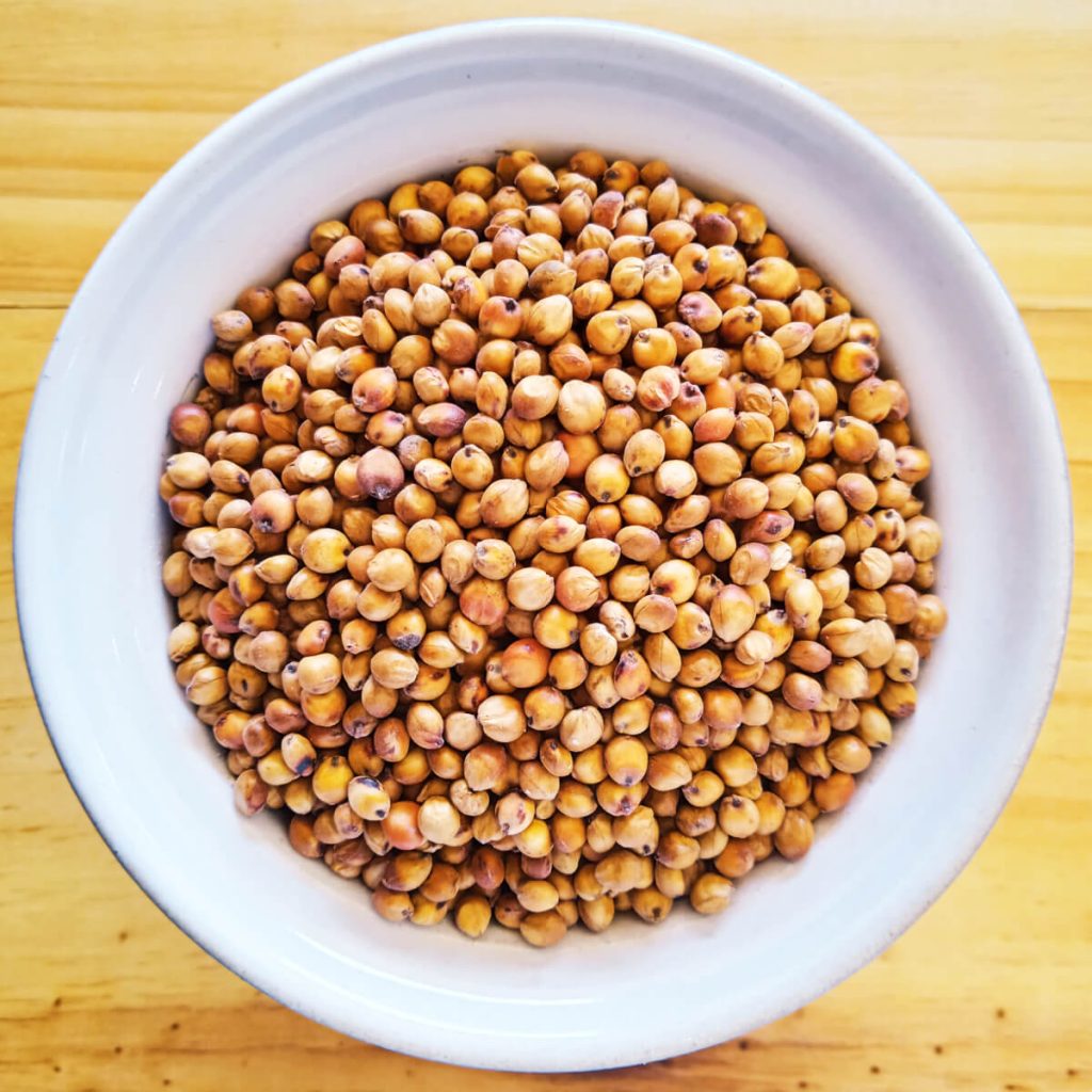 red-sorghum