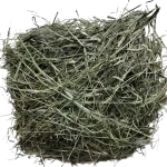 Timothy hay