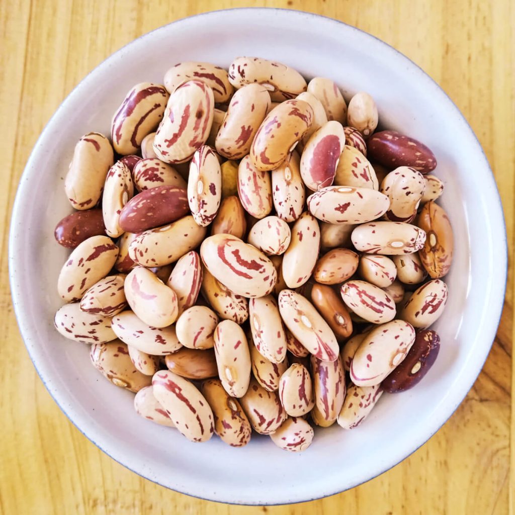 Red-Speckled-Sugar-Beans