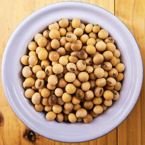 Soya Beans Non-GMO