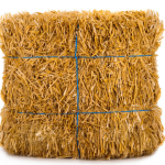 Wheat-Straw-2-OPD