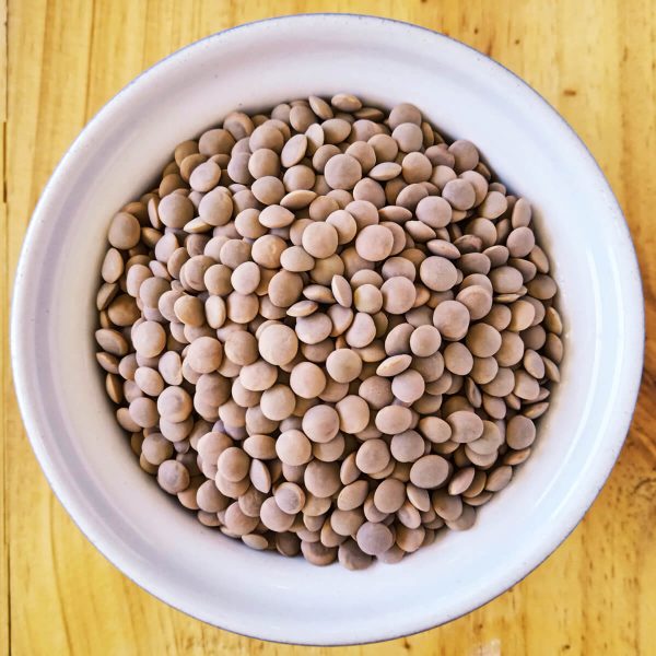 Whole Brown Lentils.