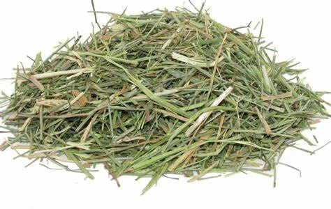 Alfalfa hay