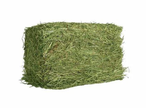 Grass Hay